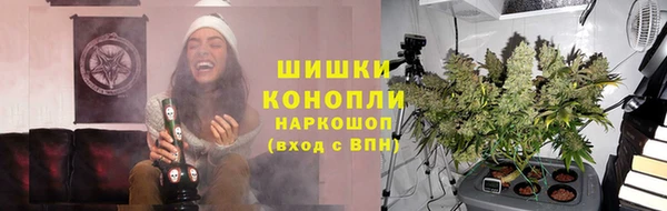 амф Горняк