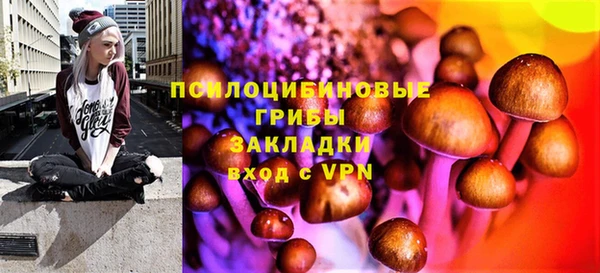 ALPHA-PVP Горнозаводск