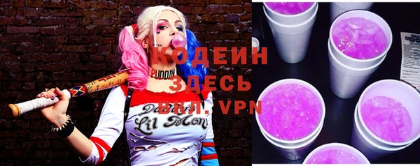 амф Горняк