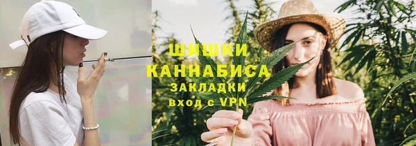 амф Горняк
