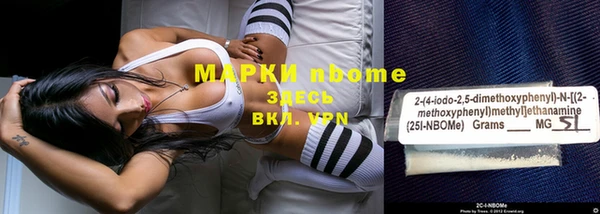 амф Горняк