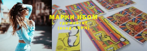 амф Горняк
