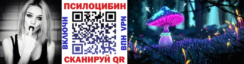 кракен   закладки  Зубцов  Галлюциногенные грибы Psilocybe 